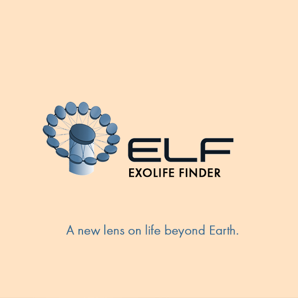 ELF PROJECT LOGODESIGN WEBDESIGNERIN BERLIN