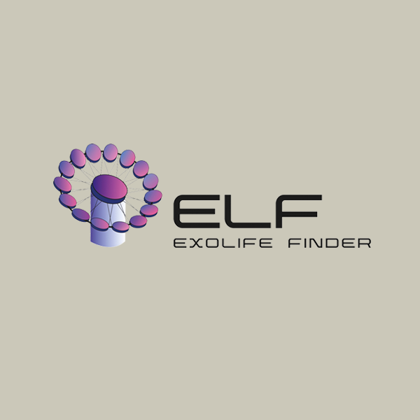 ELF PROJECT LOGODESIGN WEBDESIGNERIN BERLIN